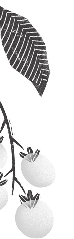 why_choose_us_decoration2@2x why_choose_us_decoration2@2x.png