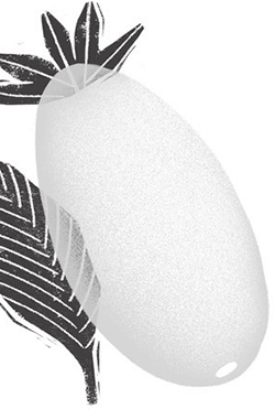 why_choose_us_decoration@2x why_choose_us_decoration@2x.png