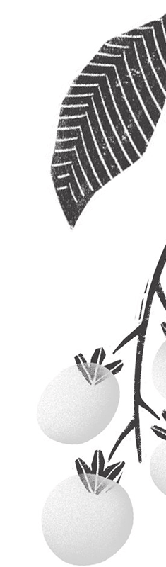 about_us_decoration_2@2x about_us_decoration_2@2x.png